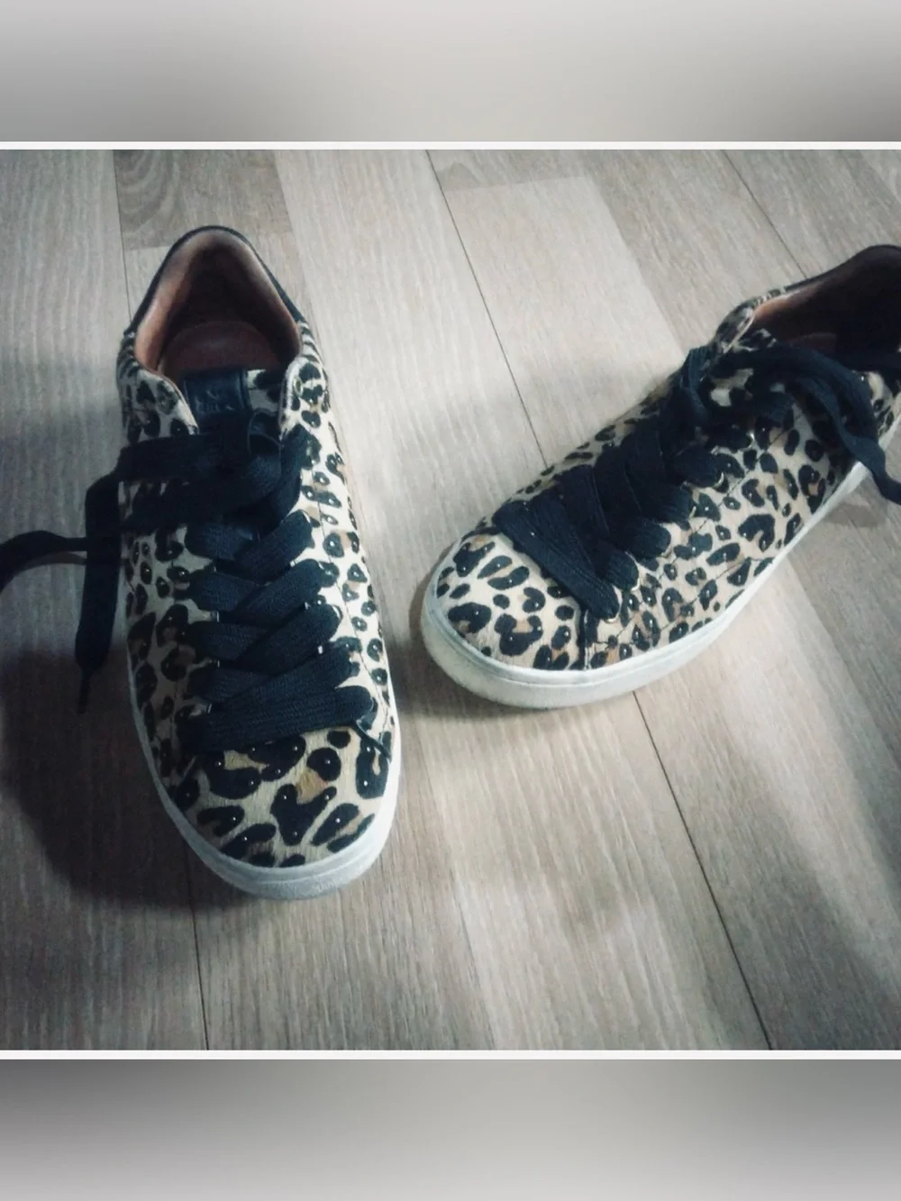 Coach Leopard-Pattern Low Top Sneakers in Black and Tan